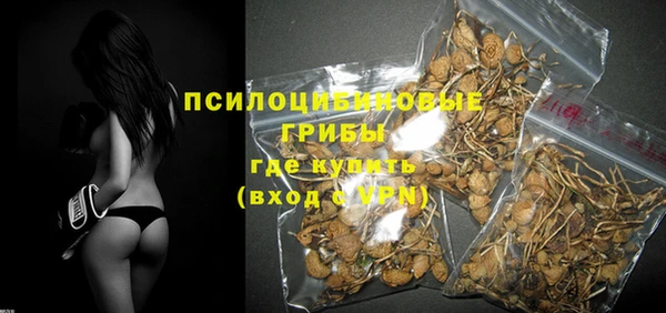 СК Покровск