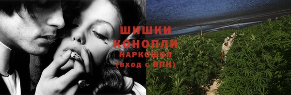 прущие крисы Покачи